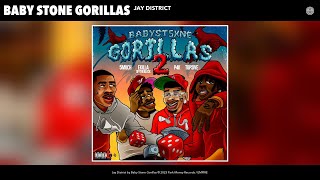 Baby Stone Gorillas  Jay District Official Audio [upl. by Nwahsud466]