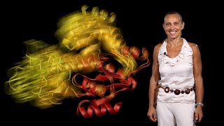 Dorothee Kern Brandeis HHMI 1 Visualizing Protein Dynamics [upl. by Eeralih]