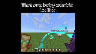 Pov that one baby zombie minecraft [upl. by Lucine]