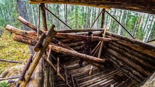 Building a hut in the Taiga Walls almost done Cooking over a campfire fast and with passion [upl. by Leese]