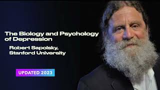 Robert Sapolsky The Biology and Psychology of Depression [upl. by Annaujat766]