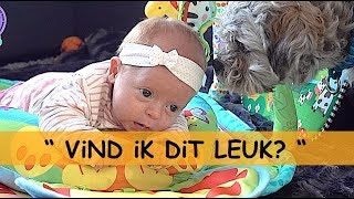 1STE X OP SPEELKLEED 😍 met WOEZEL🐶amp PiP🐶  Bellinga Familie Vlog 944 [upl. by Onder]