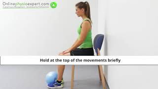 Tibialis Anterior Muscle Strengthening Exercise Tutorial Level 2  ONLINE PHYSIO EXERCISES [upl. by Anitram]