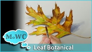 Realistic Leaf Painting in Watercolor – Botanical Illustration [upl. by Chill]