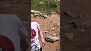 Catching Tadpoles in the Desert A Fun Adventure for Kids in Nature 🐸🌵 CatchingTadpoles [upl. by Ettelegna]