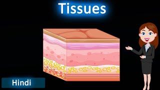 Tissues  3D animated explanation  class 9th amp 11th science  Tissues [upl. by Mont]