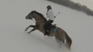 Gallop in the snow  falls from horse [upl. by Eecyal]