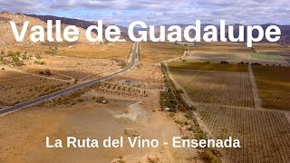 Valle de Guadalupe  Ensenada 4K  Armando la Ruta [upl. by Croteau]