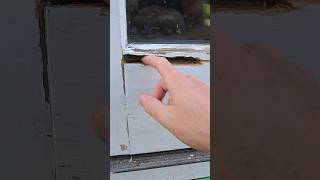 DIY Door Repair  Wood Rot [upl. by Mureil]