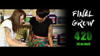 Final Grow el documental sobre cultivo en interior [upl. by Ethelbert]