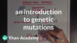 An introduction to genetic mutations  Biomolecules  MCAT  Khan Academy [upl. by Tecla895]