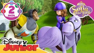 Sofia the First  The Secret Library  The Tale of the Noble Knight  Disney Junior UK [upl. by Warford]