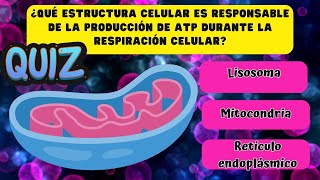 🧬🧠Examen de bioquímica🦠🔬 ¿Cuánto sabes de las biomoléculas y la célula QuiztestExamen UNAM [upl. by Sacrod]