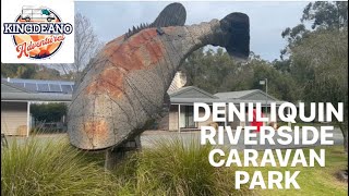 DENILIQUIN RIVERSIDE CARAVAN PARK  DENI UTE MUSTER  CARAVAN PARK NSW  VAN LIFE  UTE ON A POLE [upl. by Button]