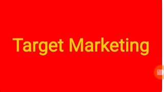 Target Marketing strategies  factors affecting viable marketing strategy in targeting [upl. by Evars573]