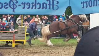 Zugleistungsprüfung 2016 Bad Kötzting Heuberger Michael [upl. by Oniger]