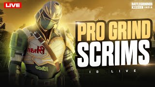 DAILY PRO GRIND SHOWDOWN IS LIVE  14 NOVEMBER 2024 🏆✨ livestream bgmilive [upl. by Silado]