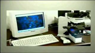 Introduction to Cytogenetics part1 [upl. by Ardnnek]