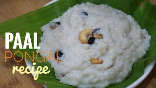 Paal Pongal recipe in Tamil  how to make paal Pongal in Tamil pongal paalpongal [upl. by Marcos]