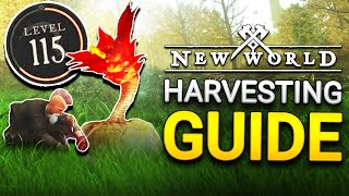 NEW WORLD HARVESTING LEVELING GUIDE [upl. by Fiorenza]