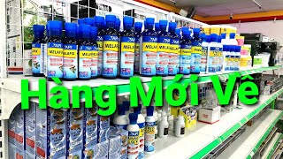 Melafix Pimafix Stress Coat Thuốc Trị Bệnh Cho Cá Rồng Mới Về 2532021 [upl. by Inacana]