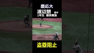 慶応大 1年生 渡辺憩 選手 盗塁阻止（2024年東京六大学野球秋季リーグ 早稲田大vs慶応大）昨年の夏の甲子園 優勝選手 [upl. by Damon]