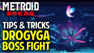 Burenia Boss Fight Guide  How to Defeat Drogyga Tips amp Tricks  Metroid Dread Walkthrough [upl. by Yrekcaz]