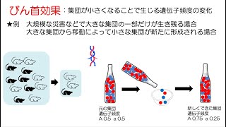 86高校生物「遺伝的浮動」2023 [upl. by Gusba759]