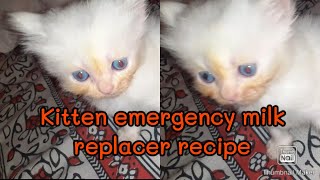 How to make emergency kitten milk replacerkitten milk replacer recipekitten playingpet life care [upl. by Nadnarb]