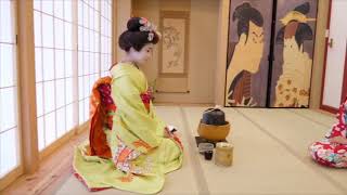 Geisha Tea Ceremony Osaka [upl. by Amairam]