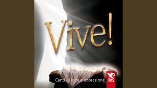 Vive [upl. by Rosina]