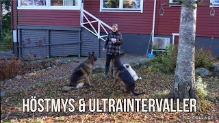 Höstfix och ultraintervaller på landet I Vlogg [upl. by Aenyl420]