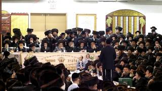 Child Singing quotTiherquot For The Satmar Rabbi [upl. by Waldemar]