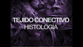 Tejido conectivo  Histología [upl. by Freberg]