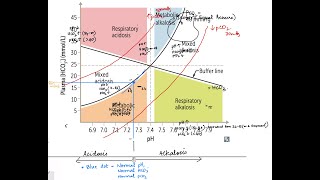 DAVENPORT FA USMLE step1 AcidBase Balance Pg 612 FA [upl. by Anwahs347]