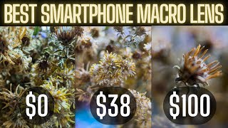 Best Smartphone Macro Lens  iPhone 13 Pro Max Macro Mode vs Apexel Macro Lens vs Moment Macro Lens [upl. by Inan]