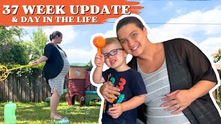 37 WEEK PREGNANCY UPDATE  DITL [upl. by Carnahan]