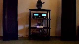 Glorious McIntosh System with Magnepan speakers [upl. by Naj]