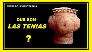 Todo sobre la TENIASIS  Curso de Helmintología [upl. by Tommie]