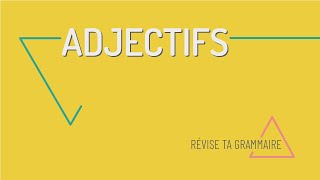 Révise ta grammaire  laccord des adjectifs en français A1A2 [upl. by Hedveh]