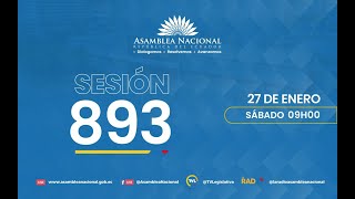 Sesión 893 del Pleno de la Asamblea Nacional [upl. by Nattirb]