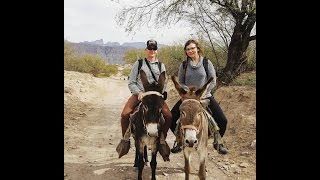 Burros and Lunch in Mexico [upl. by Paehpos256]