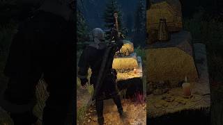 Interesting Hidden Details In The Witcher 3 [upl. by Ellinehc499]