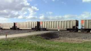 BNSF 6115 leads northbound coal Orchard TX [upl. by Nodal488]