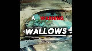 A Warning  Wallows Lyrics [upl. by Curkell]