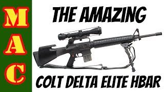 The Amazing Colt Delta Elite HBAR AR15  Accuracy Edition [upl. by Summers]