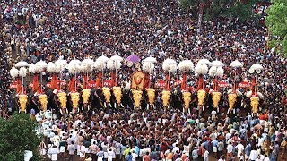 Thrissur Pooram  Pooram festivals of Kerala [upl. by Ardnahcal364]