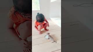 Chiku Billi ko dudh pilate hue  2 October 2024 shortvideo [upl. by Neibart]