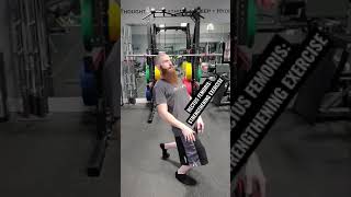 THE SINGLE LEG SISSY SQUAT STRENGTHENING EXERCISE FOR THE RECTUS FEMORIS MUSCLE Shorts [upl. by Otilia23]