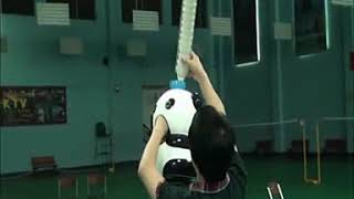 BAOSHISHAN Automatic Badminton Shuttlecock Training Machine Shooting Machine search asin B01K4B5H3O [upl. by Godden]